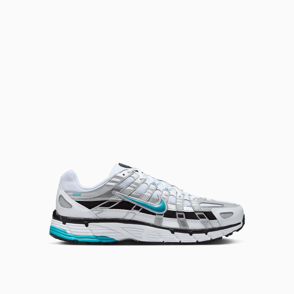 Nike P-6000 Dusty Cactus