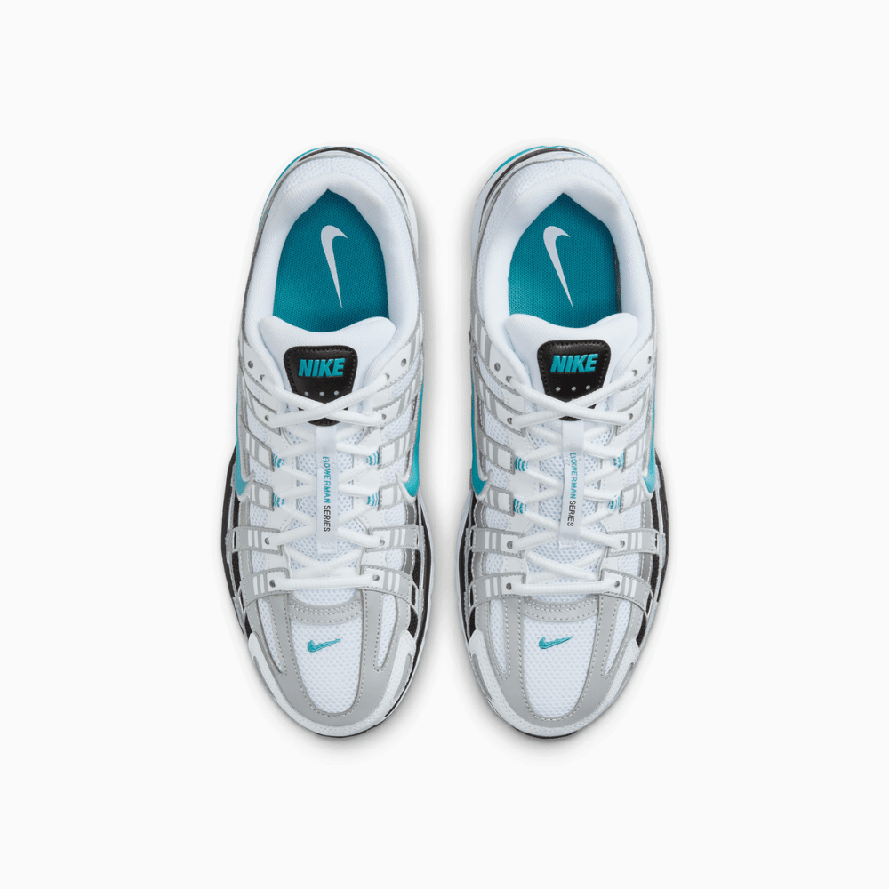Nike P-6000 Dusty Cactus